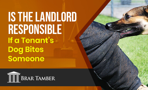 Is the Landlord Responsible If a Tenant’s Dog Bites Someone